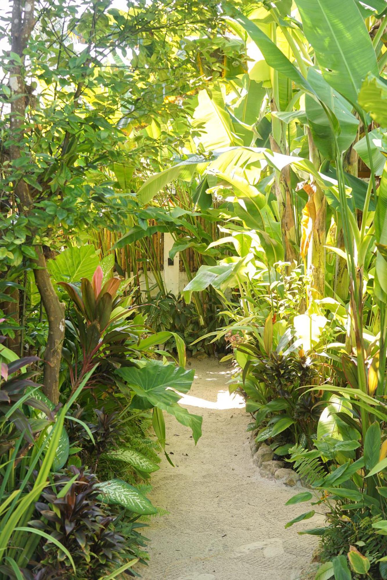 Greenhouse Siargao Roadside Boutique Apartments General Luna  Exteriör bild